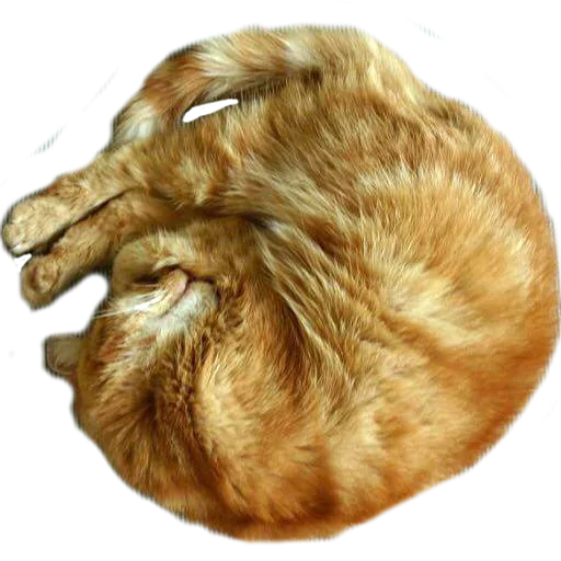 🥺 Стикер «Sleepy» для Telegram