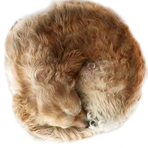 😨 Стикер «Sleepy» для Telegram