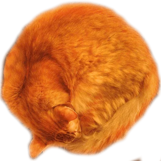 🥺 Стикер «Sleepy» для Telegram