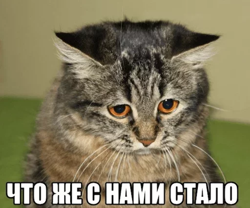😞 Стикер «Твои стикеры —» для Telegram