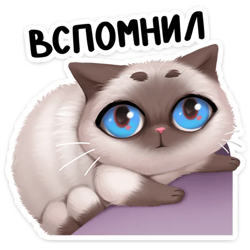 🕷️ Стикер «Паушка сплетёт паутинку в вашем кармашке и будет там мурчать» для Telegram