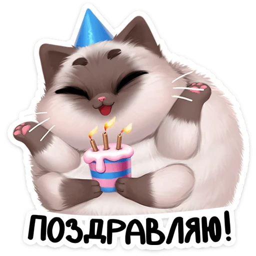 🥳 Стикер «Паушка сплетёт паутинку в вашем кармашке и будет там мурчать» для Telegram