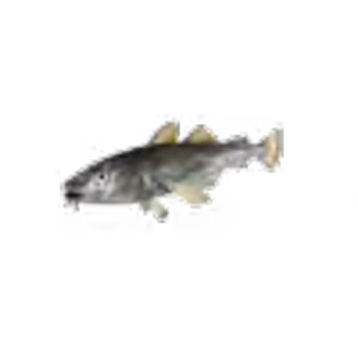 🐟 Эмодзи «spinning -» для Telegram