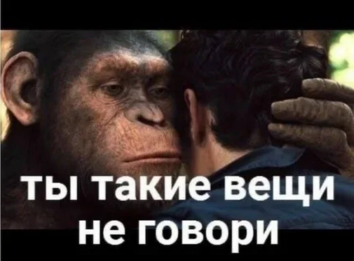 🤫 Стикер «Спизженные пикчи и стикеры для личного пользования» для Telegram