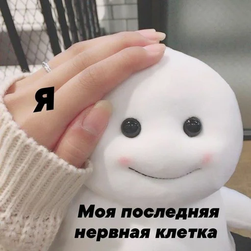 🤯 Стикер «spokysa» для Telegram