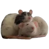 🐀 Эмодзи «Весенний Набор» для Telegram