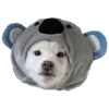 🐨 Эмодзи «Весенний Набор» для Telegram