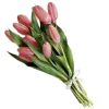 💐 Эмодзи «Весенний Набор» для Telegram