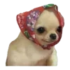👵 Эмодзи «Весенний Набор» для Telegram
