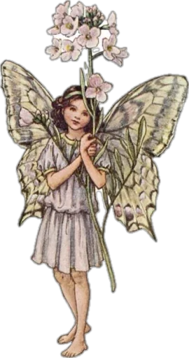 🌸 Стикер «spring fairies» для Telegram