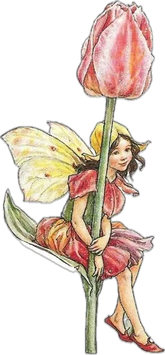 🥹 Стикер «spring fairies» для Telegram
