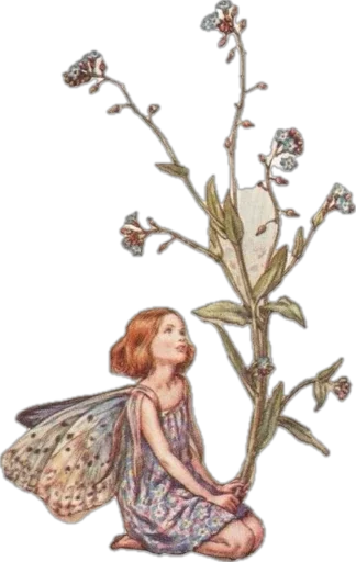 🩵 Стикер «spring fairies» для Telegram