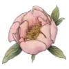 🌷 Эмодзи «Spring - весенние буквы и цветы» для Telegram