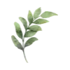 🌿 Эмодзи «Spring - весенние буквы и цветы» для Telegram