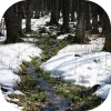 🏞 Эмодзи «𝒔𝒑𝒓𝒊𝒏𝒈 𝒗𝒊𝒃𝒆 𝒃𝒚» для Telegram