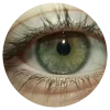 👁 Эмодзи «𝒔𝒑𝒓𝒊𝒏𝒈 𝒗𝒊𝒃𝒆 𝒃𝒚» для Telegram