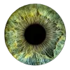 👁 Эмодзи «𝒔𝒑𝒓𝒊𝒏𝒈 𝒗𝒊𝒃𝒆 𝒃𝒚» для Telegram