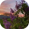 💐 Эмодзи «𝒔𝒑𝒓𝒊𝒏𝒈 𝒗𝒊𝒃𝒆 𝒃𝒚» для Telegram
