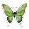 🦋 Эмодзи «𝒔𝒑𝒓𝒊𝒏𝒈 𝒗𝒊𝒃𝒆 𝒃𝒚» для Telegram