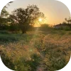 🌅 Эмодзи «𝒔𝒑𝒓𝒊𝒏𝒈 𝒗𝒊𝒃𝒆 𝒃𝒚» для Telegram