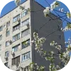 🌳 Эмодзи «𝒔𝒑𝒓𝒊𝒏𝒈 𝒗𝒊𝒃𝒆 𝒃𝒚» для Telegram