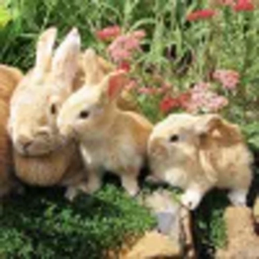 🤩 Эмодзи «Spring vibe» для Telegram