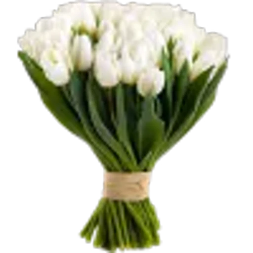 Эмодзи Spring vibe для Telegram — скачать
