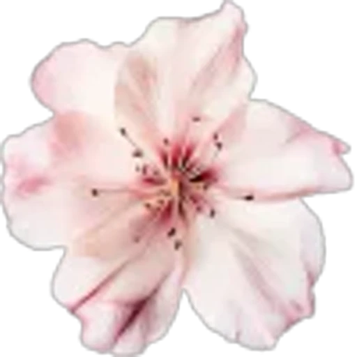 🤩 Эмодзи «Spring vibe» для Telegram