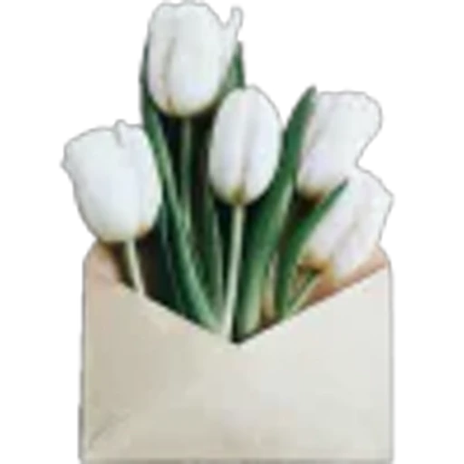 🤩 Эмодзи «Spring vibe» для Telegram