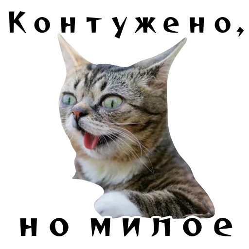 ☹️ Стикер «Спящий Режим» для Telegram