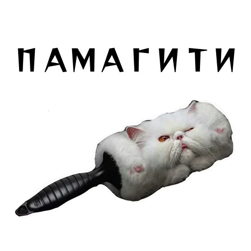 🥺 Стикер «Спящий Режим» для Telegram