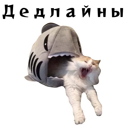 🥶 Стикер «Спящий Режим» для Telegram
