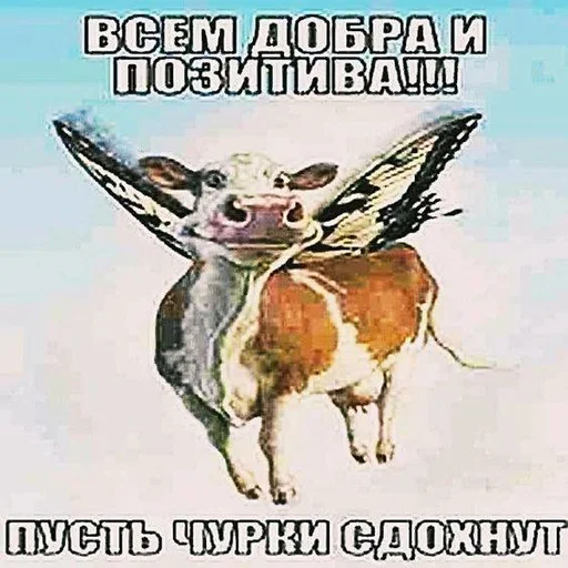 🐮 Стикер «Братва» для Telegram