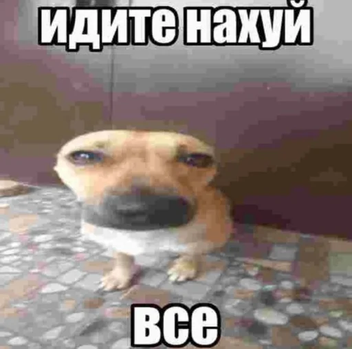 😇 Стикер «Братва» для Telegram