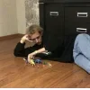 🤩 Эмодзи «Ssshhhiiittt» для Telegram