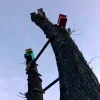 🤩 Эмодзи «Ssshhhiiittt» для Telegram