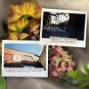 🤩 Эмодзи «Ssshhhiiittt» для Telegram