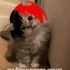 🌟 Эмодзи «Zxcursed» для Telegram