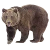 🌟 Эмодзи «СССР» для Telegram