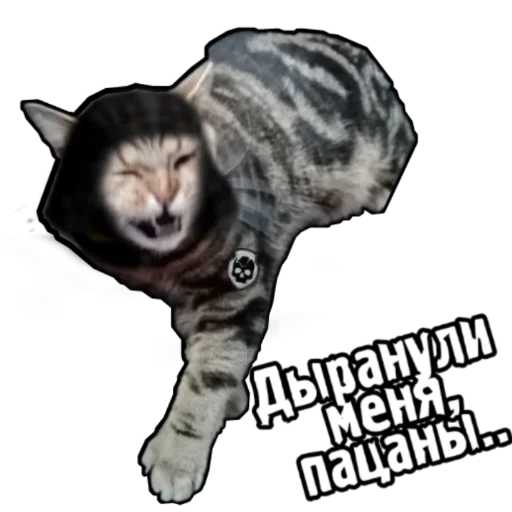 🤕 Стикер «S.T.A.L.K.E.R. Universe 4» для Telegram