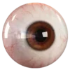👁️ Эмодзи «🫀 эмодзи статусы ы» для Telegram