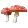 🍄 Эмодзи «🫀 эмодзи статусы ы» для Telegram