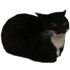 🐈‍⬛ Эмодзи «Статусики» для Telegram