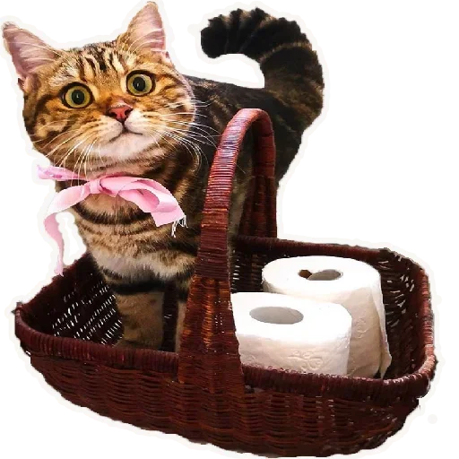 😇 Стикер «Stay Home» для Telegram