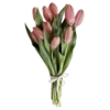 🌷 Эмодзи «Lisergeevna» для Telegram