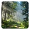 🤩 Эмодзи «Forest» для Telegram