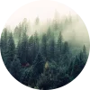🤩 Эмодзи «Forest» для Telegram