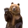 🤩 Эмодзи «Forest» для Telegram