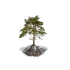 🤩 Эмодзи «Forest» для Telegram