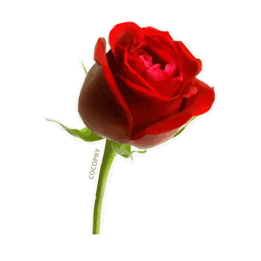 🌹 Эмодзи «8 Марта!» для Telegram